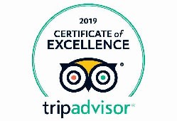 TripAdvisor Logo